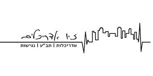 זיו
